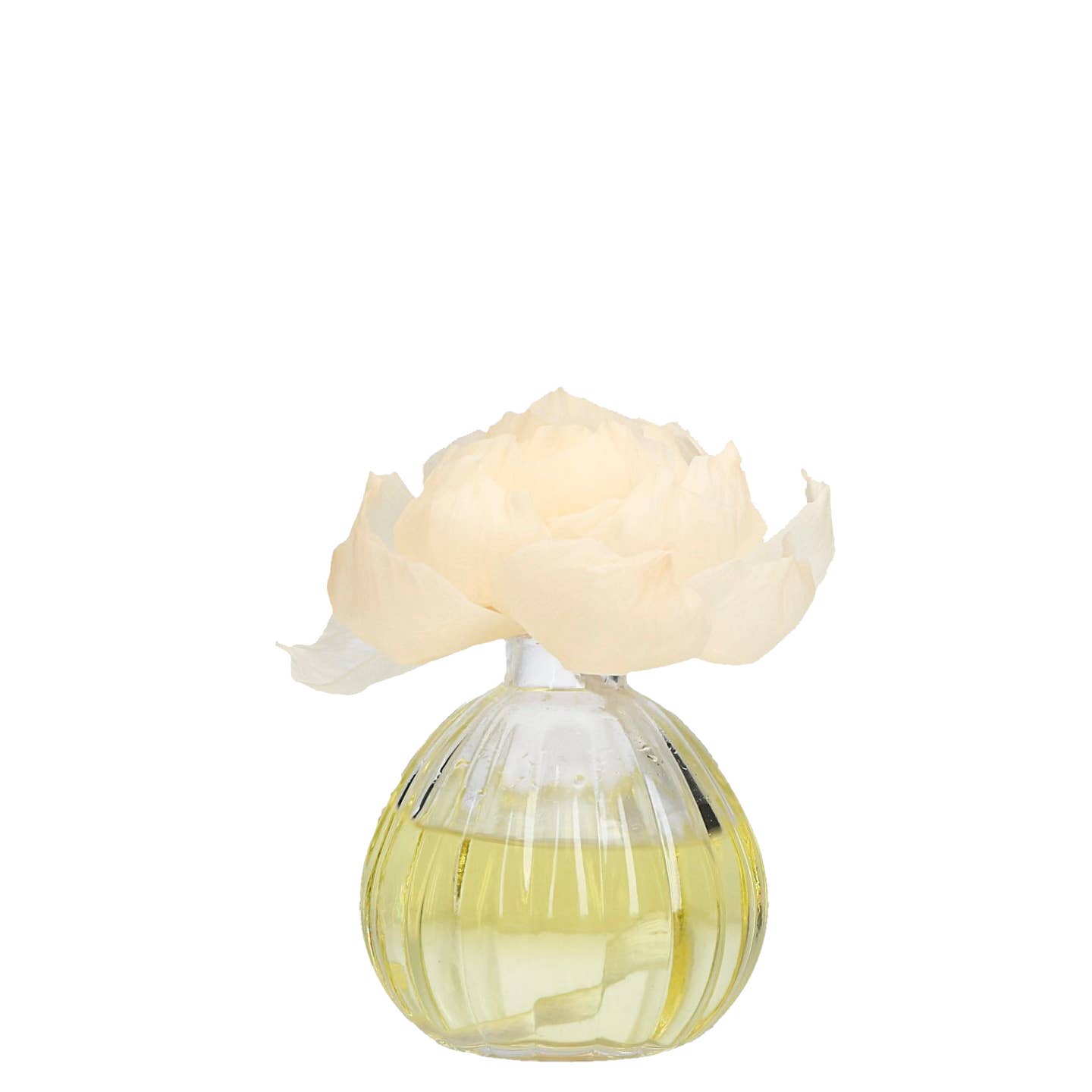 Cashmere Kiss Flower Diffuser Tester