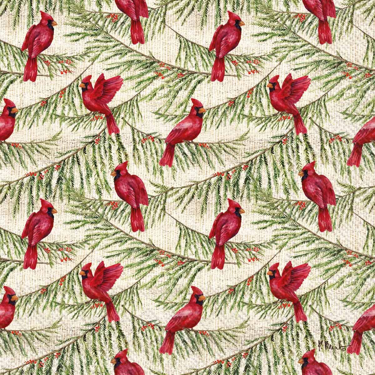 Paper Cocktail Napkins 20 Ct Cardinal Pines
