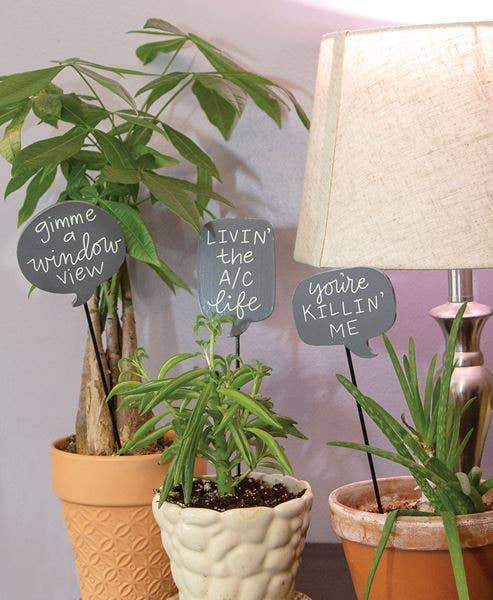 House Plant Sayings Stake