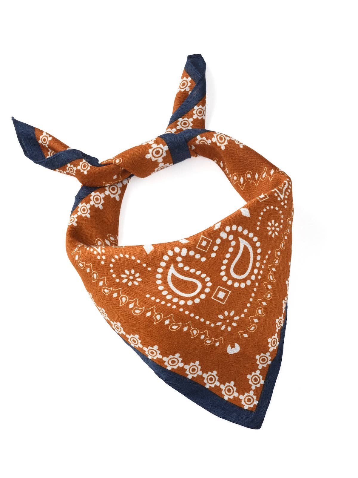 Paisley Square Scarf