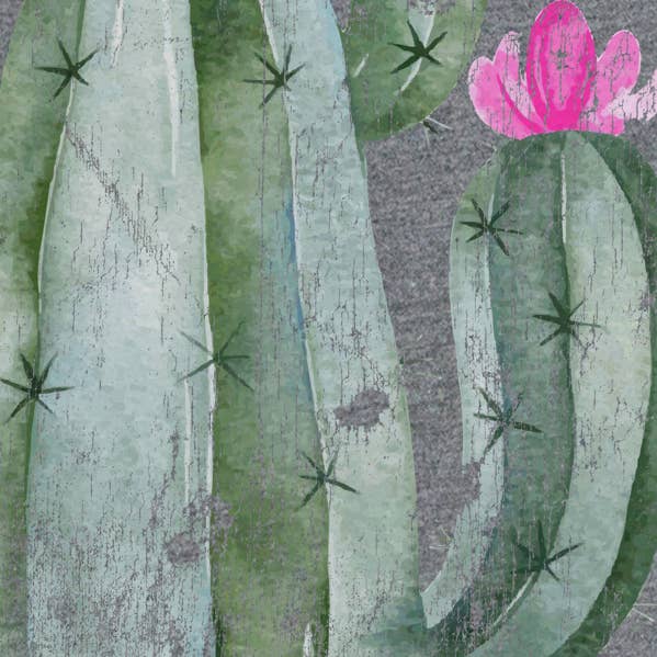 Distressed Cactus Graphic Tee