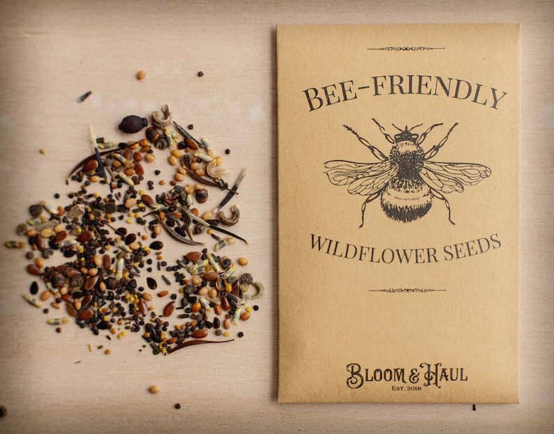 Bee-Friendly Wildflower Seed Packet – 150 Seeds