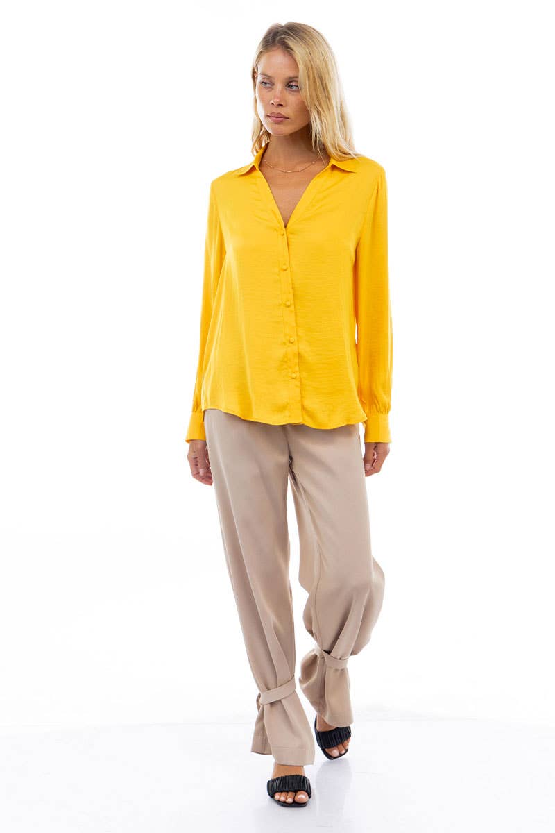 Classic V-Neck Button Down