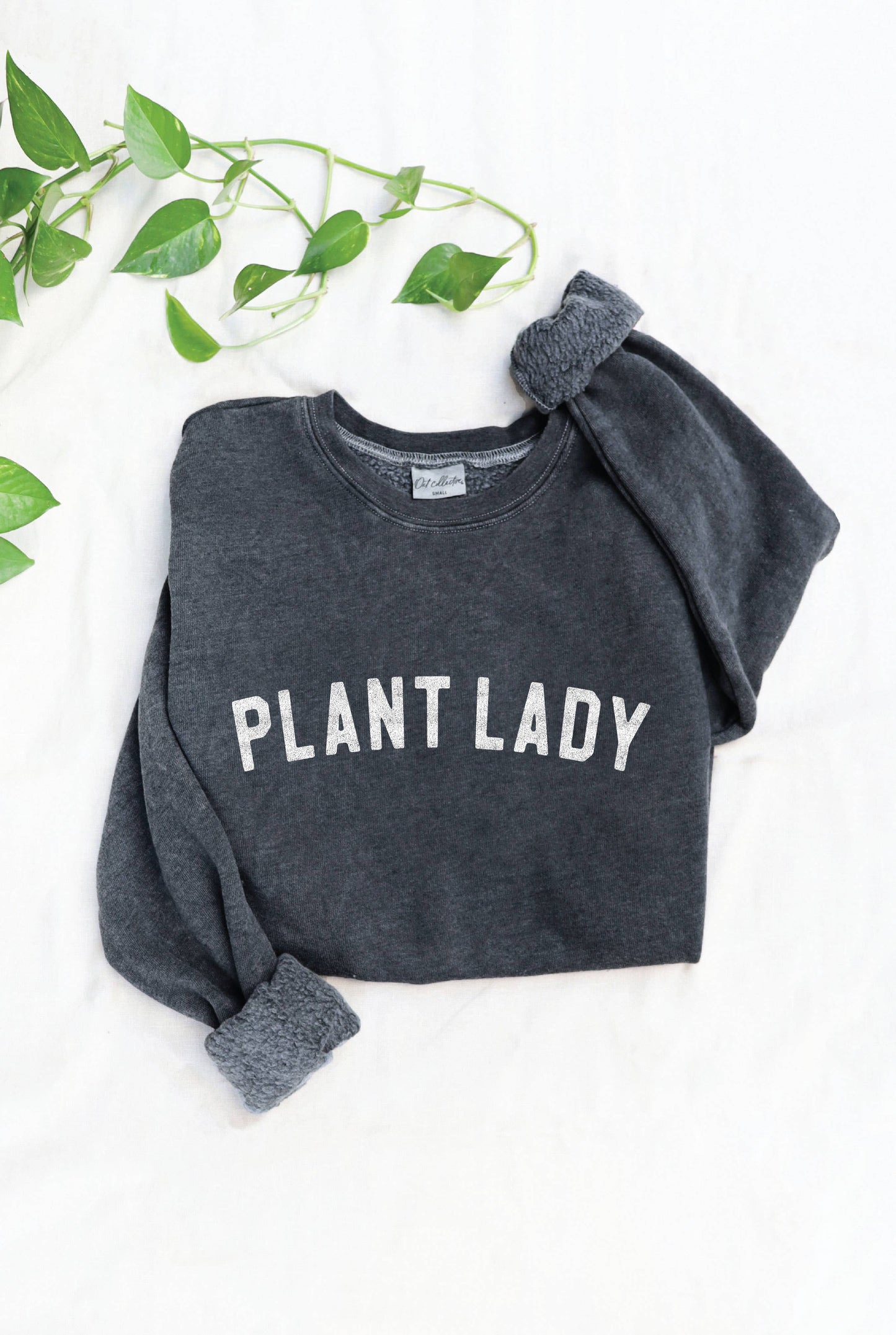 PLANT LADY Mineral Graphic Sweatshirt