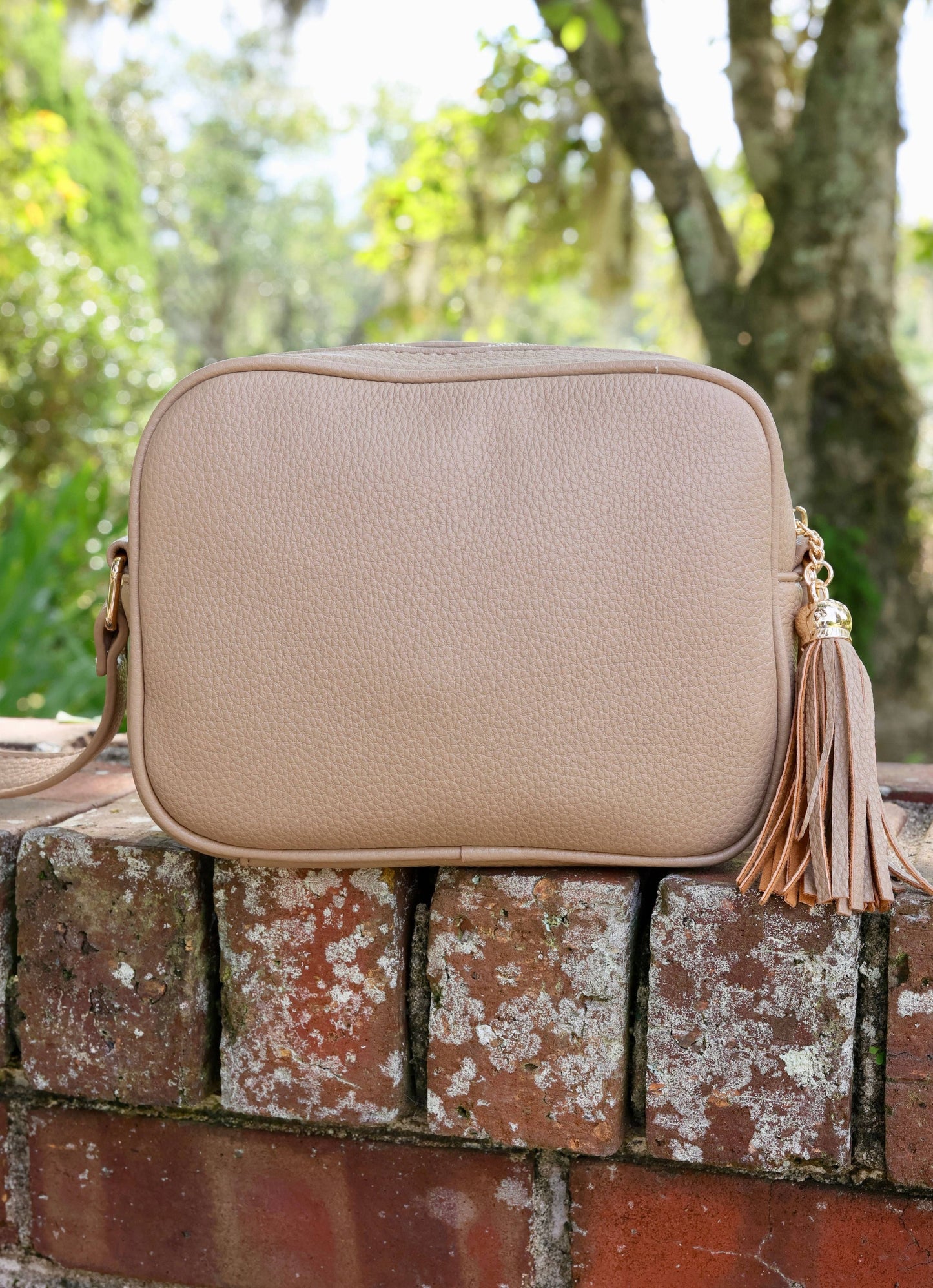 Rylie Crossbody with Tassel TAUPE