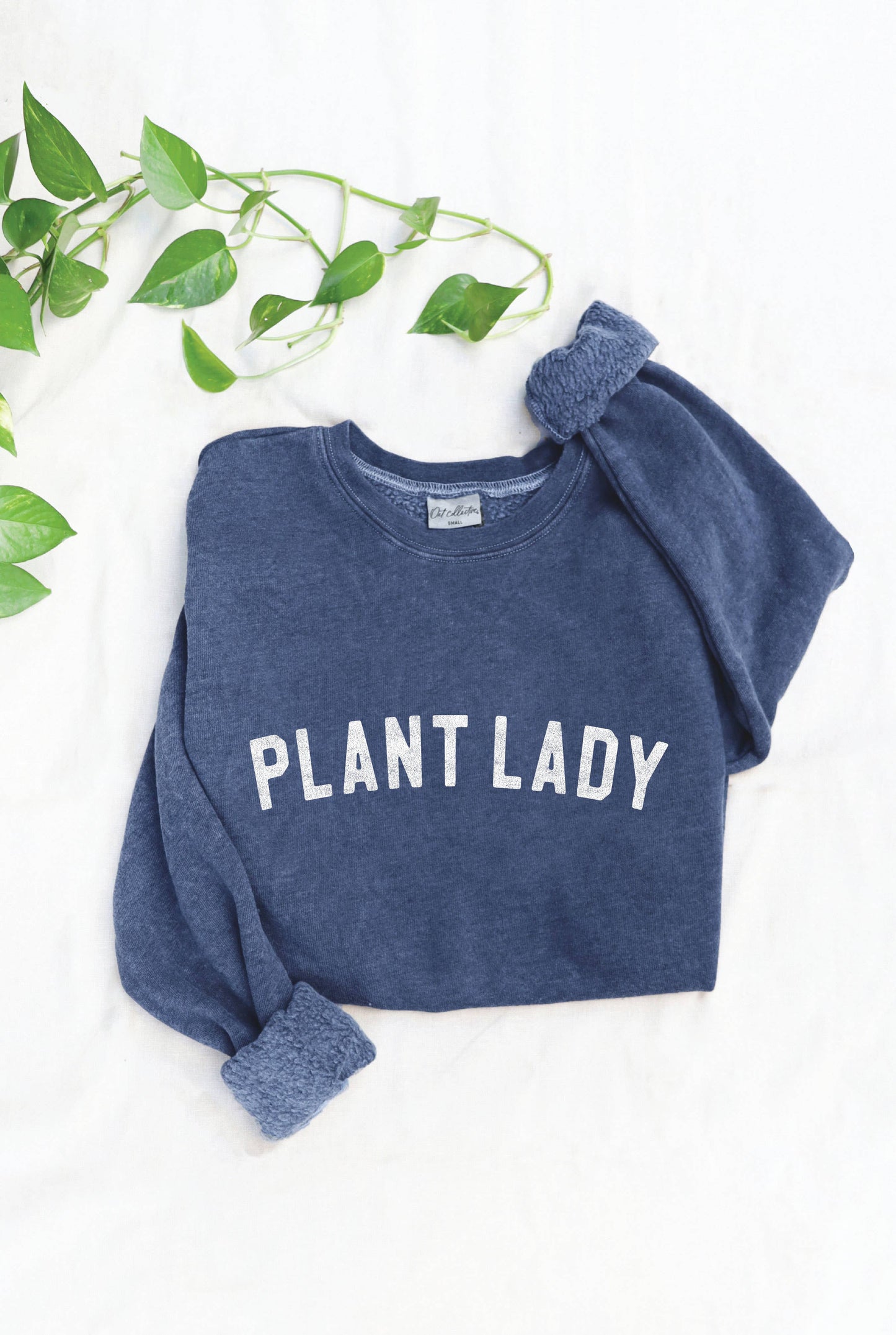 PLANT LADY Mineral Graphic Sweatshirt