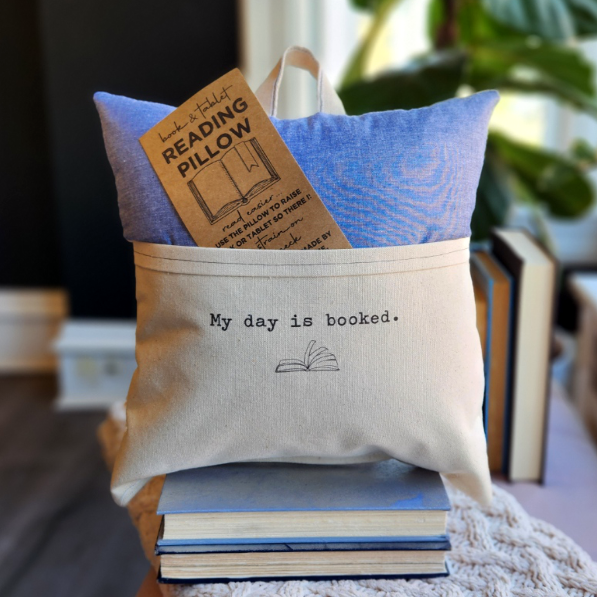 Reading Pillow- My Day is Booked